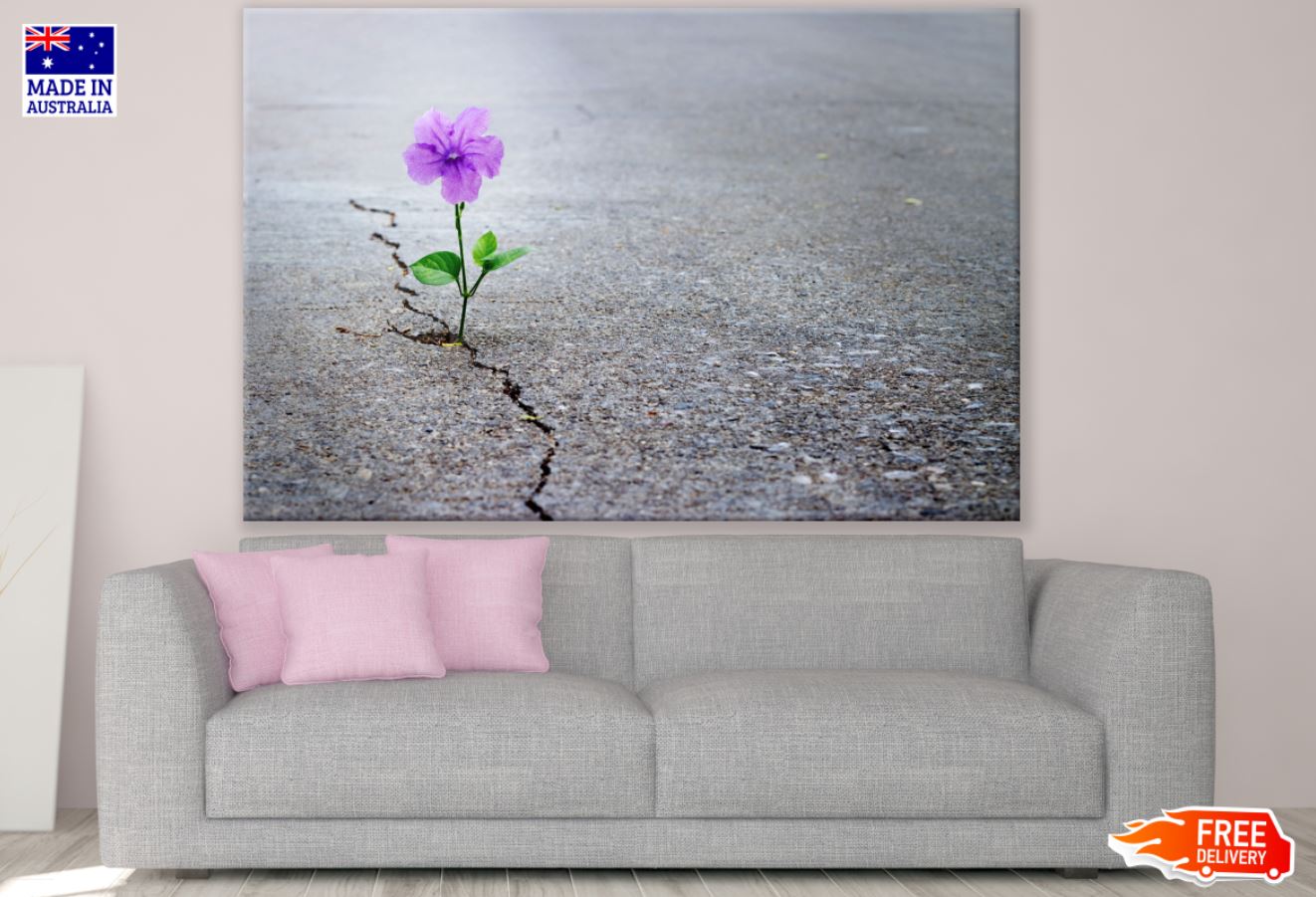 Purple Flower in Carpet Road Photograph Print 100% Australian Made