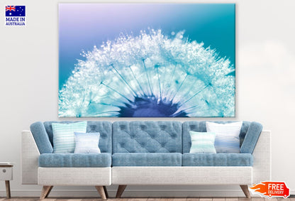 Dandelion Flowers with WaterDrops Print 100% Australian Made