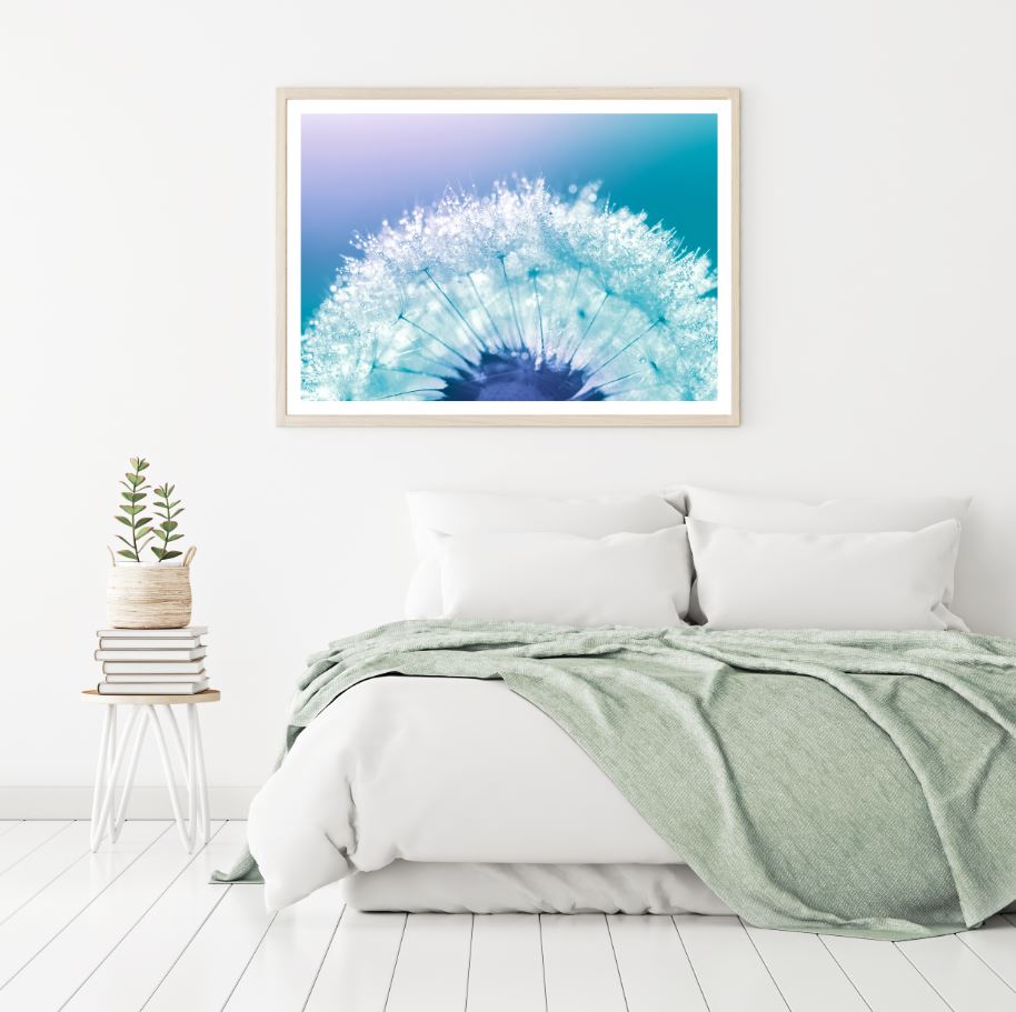 Dandelion Flowers with WaterDrops Home Decor Premium Quality Poster Print Choose Your Sizes
