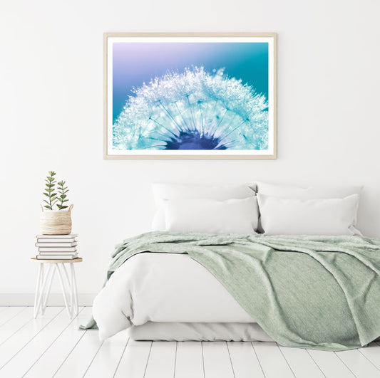 Dandelion Flowers with WaterDrops Home Decor Premium Quality Poster Print Choose Your Sizes