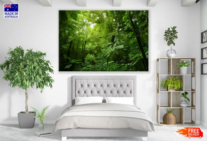 Deep Forest Photograph Print 100% Australian Made