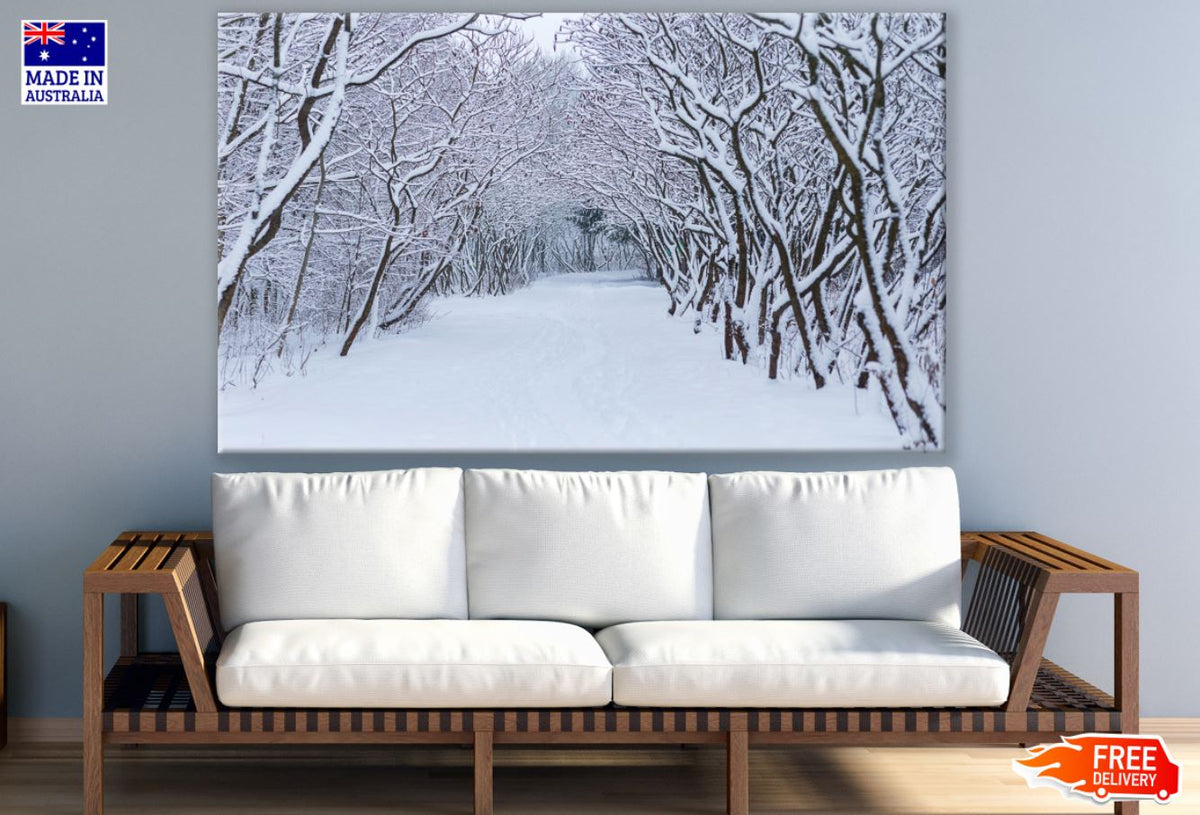Snow Covered Forest Photograph Print 100% Australian Made