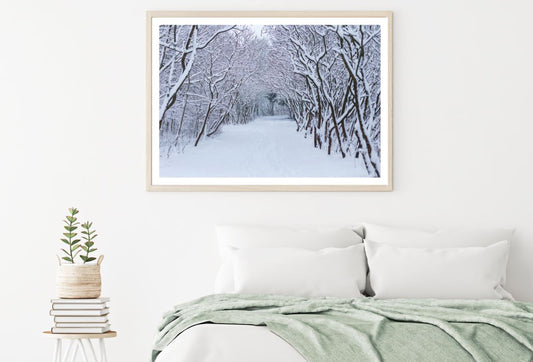 Snow Covered Forest Photograph Home Decor Premium Quality Poster Print Choose Your Sizes