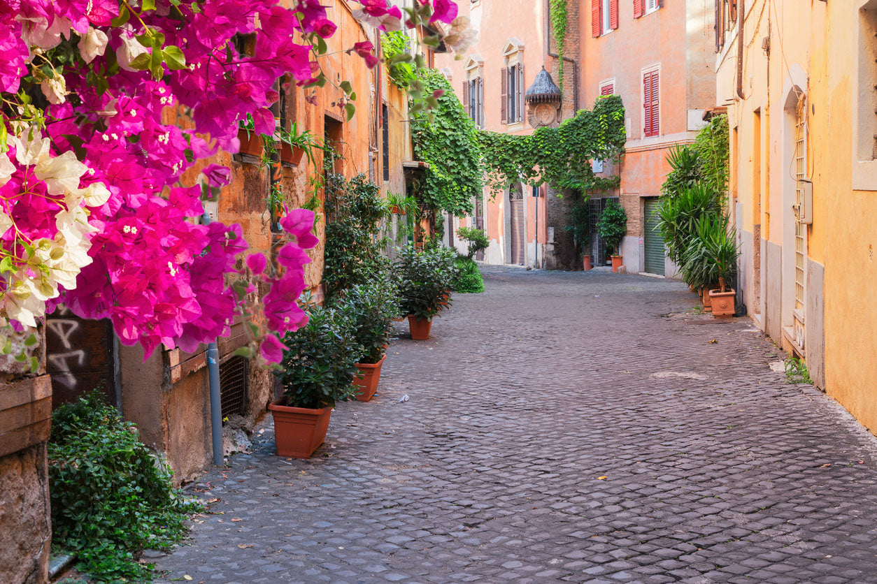 Road with Flower Plants View Print 100% Australian Made