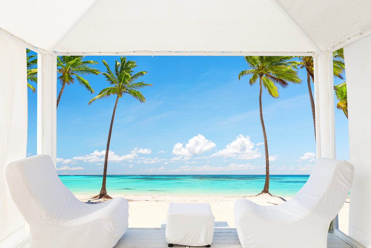 Palm Trees Near Sea Photograph Home Decor Premium Quality Poster Print Choose Your Sizes