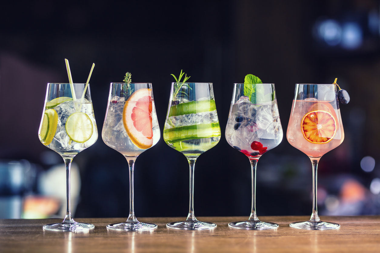 Gin & Tonic Garnishes Photograph Home Decor Premium Quality Poster Print Choose Your Sizes