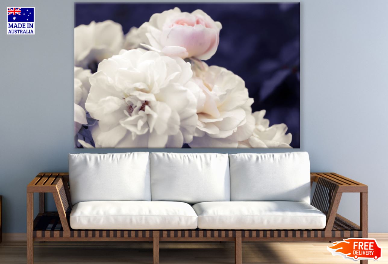 White Flowers Closeup Photograph Print 100% Australian Made