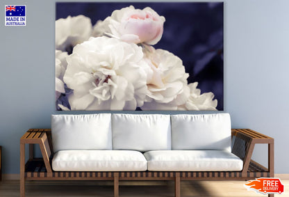 White Flowers Closeup Photograph Print 100% Australian Made