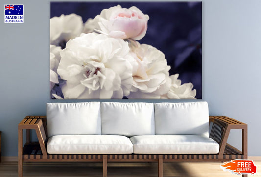White Flowers Closeup Photograph Print 100% Australian Made