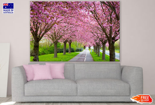 Blossom Trees Along the Road View Print 100% Australian Made