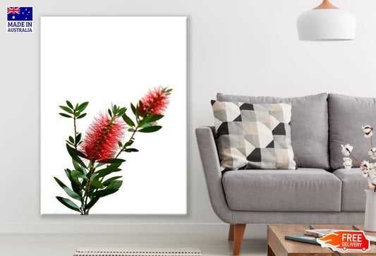 Red Flowers Closeup Photograph Print 100% Australian Made