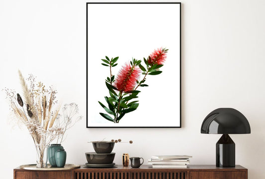 Red Flowers Closeup Photograph Home Decor Premium Quality Poster Print Choose Your Sizes