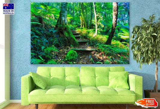 Forest Steps Scenery Photograph Print 100% Australian Made