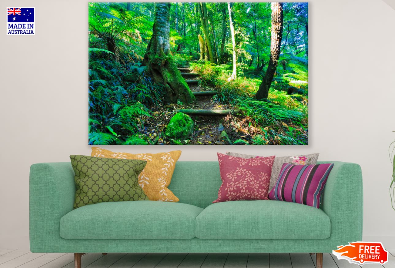 Stairs in Forest Photograph Print 100% Australian Made