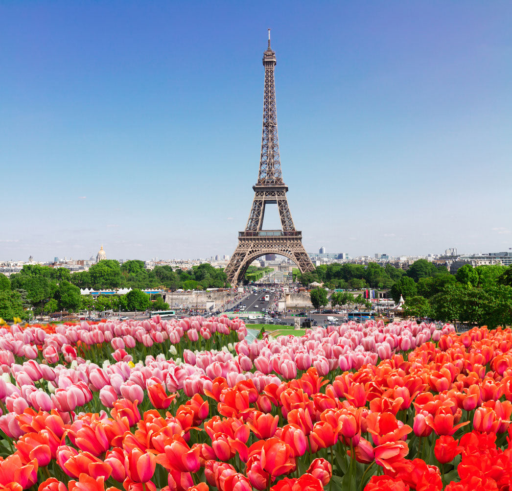 Square Canvas Eiffel Tower & Tulip Flowers High Quality Print 100% Australian Made