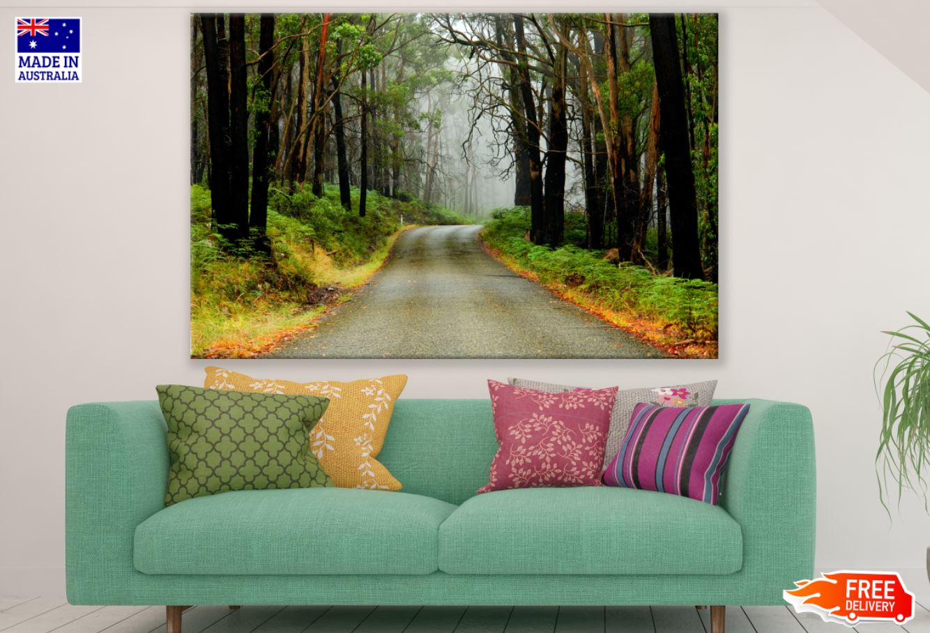 Road in Forest Scenery Photograph Print 100% Australian Made