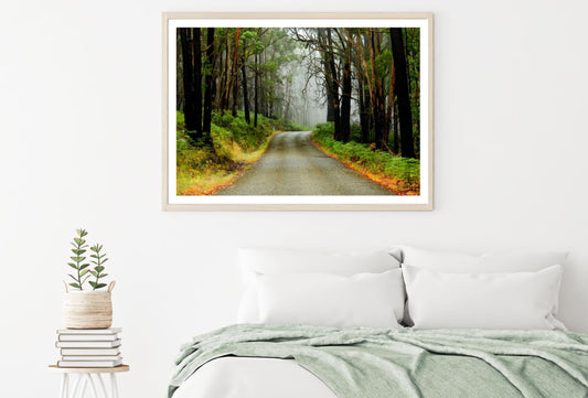 Road in Forest Scenery Photograph Home Decor Premium Quality Poster Print Choose Your Sizes