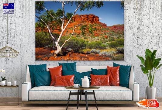 Forest Near Rock Mountain View Print 100% Australian Made