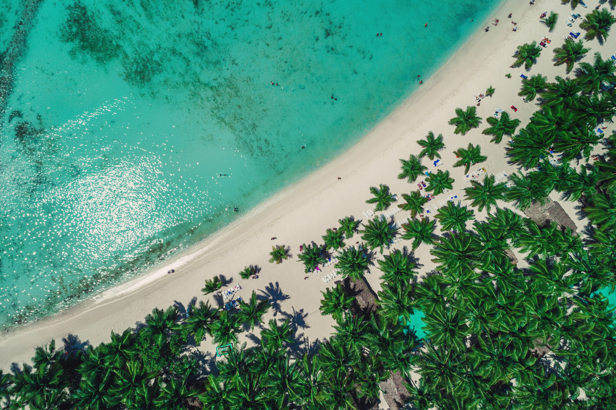 Sea & Palm Tree Forest Aerial Print 100% Australian Made