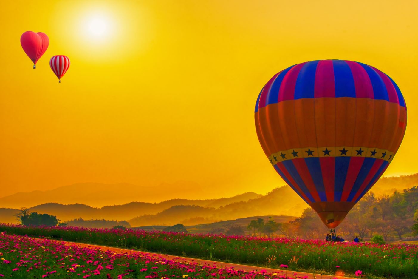 Hot Balloons Over Flower Field Print 100% Australian Made