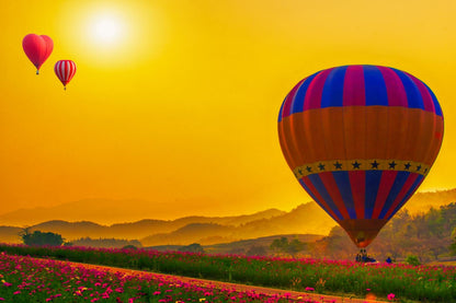 Hot Balloons Over Flower Field Print 100% Australian Made