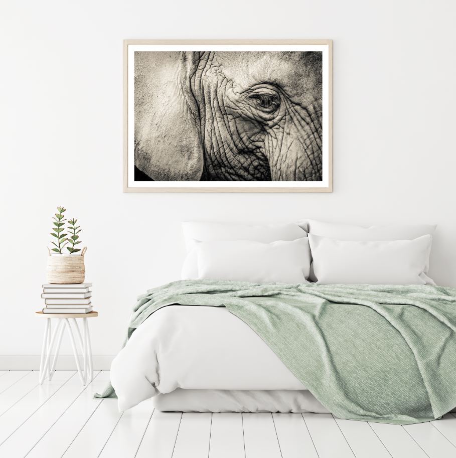 Elephant Eye Closeup Photograph Home Decor Premium Quality Poster Print Choose Your Sizes