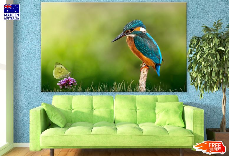 Kingfisher Bird & Butterfly Photograph Print 100% Australian Made