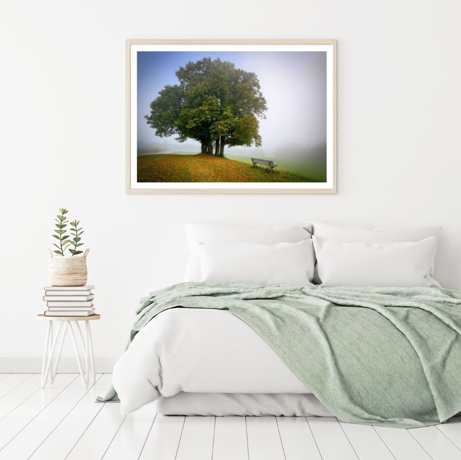 Tree on Mist Scenery Photograph Home Decor Premium Quality Poster Print Choose Your Sizes