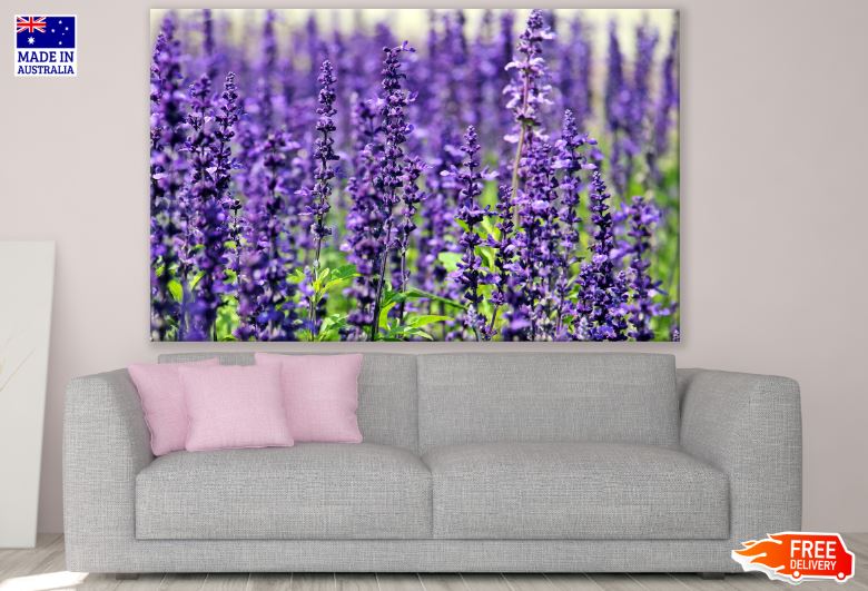 Lavender Field Closeup Photograph Print 100% Australian Made
