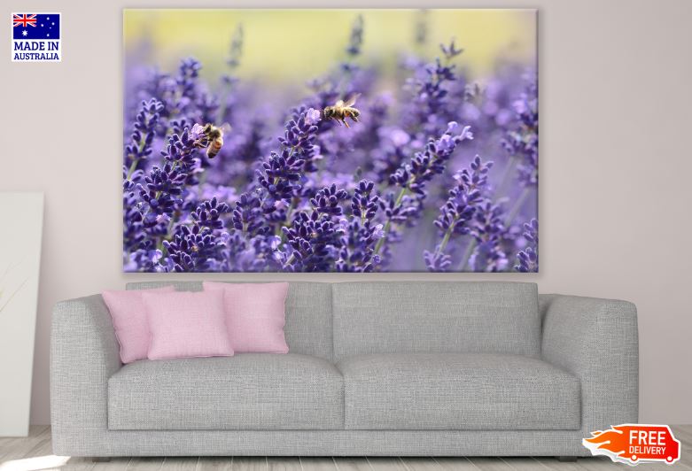 Lavender Field Closeup Photograph Print 100% Australian Made