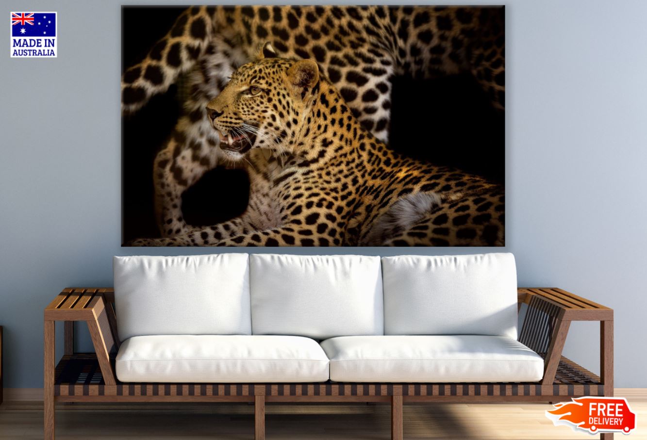 Leopard Portrait Closeup View Print 100% Australian Made