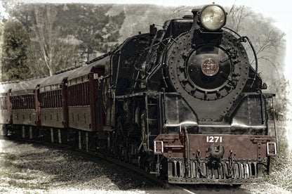 Vintage Train Photograph Print 100% Australian Made