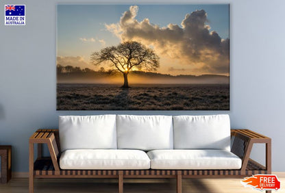Alone Tree on Meadow at Sunset Scenery Photograph Print 100% Australian Made