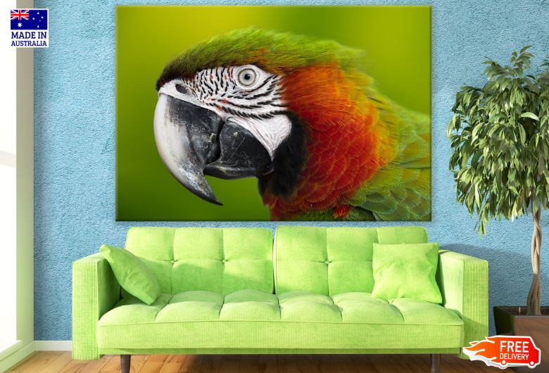 Parrot Portrait Photograph Print 100% Australian Made