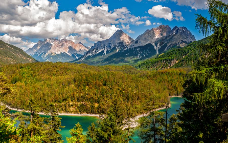Mountain River with Forest Scenery View Photograph Print 100% Australian Made