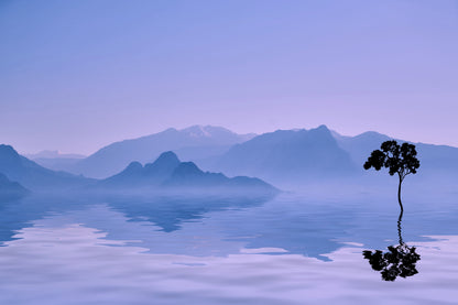 Tree in a Lake Evening View Photograph Print 100% Australian Made