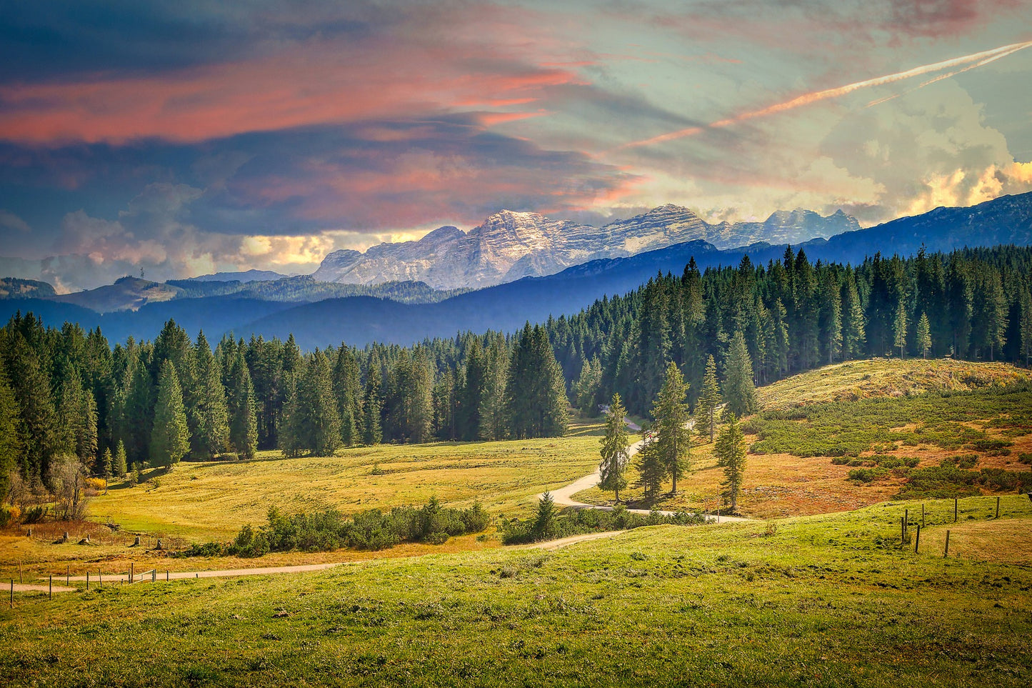 Stunning Forest View with Mountains Photograph Print 100% Australian Made