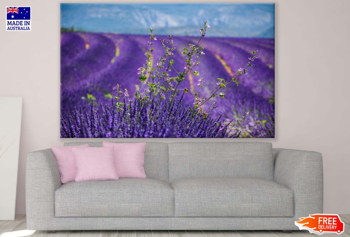 Lavender Field Scenery Photograph Print 100% Australian Made