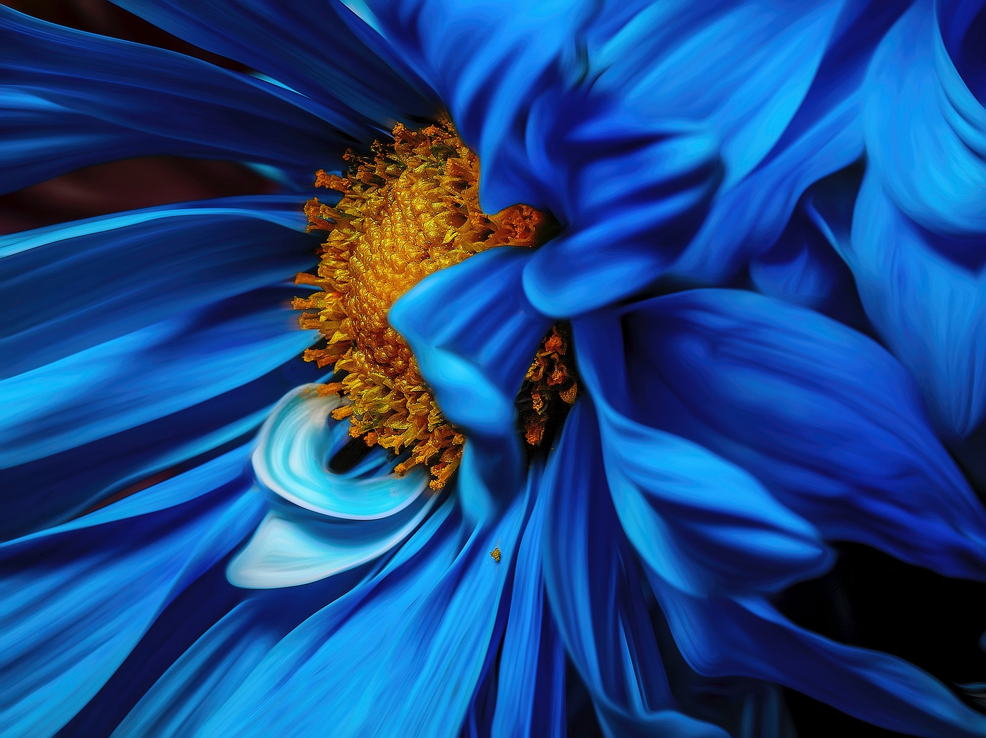Flower Macro Closeup Photograph Home Decor Premium Quality Poster Print Choose Your Sizes