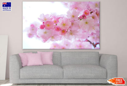 Blossom Flowers Macro Photograph Print 100% Australian Made