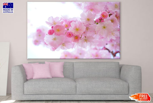 Blossom Flowers Macro Photograph Print 100% Australian Made