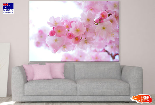Blossom Flowers Closeup Photograph Print 100% Australian Made