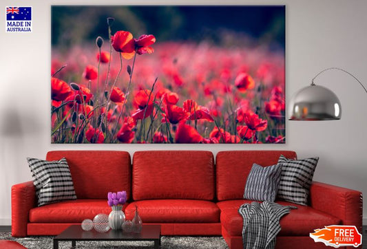 Red Poppy Flowers Field Photograph Print 100% Australian Made
