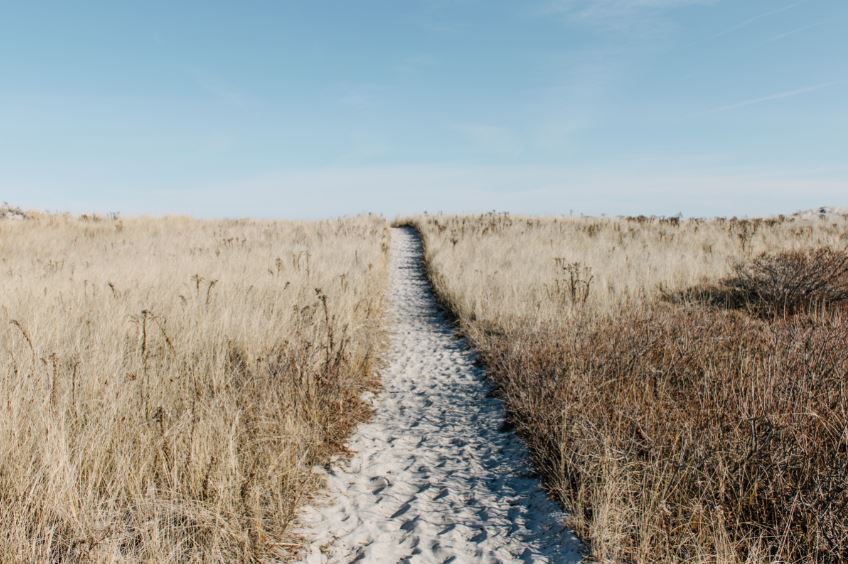 Sandy Foot Path in Grass Field Photograph Print 100% Australian Made