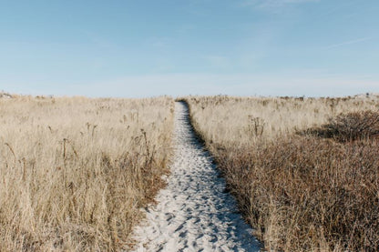 Sandy Foot Path in Grass Field Photograph Print 100% Australian Made