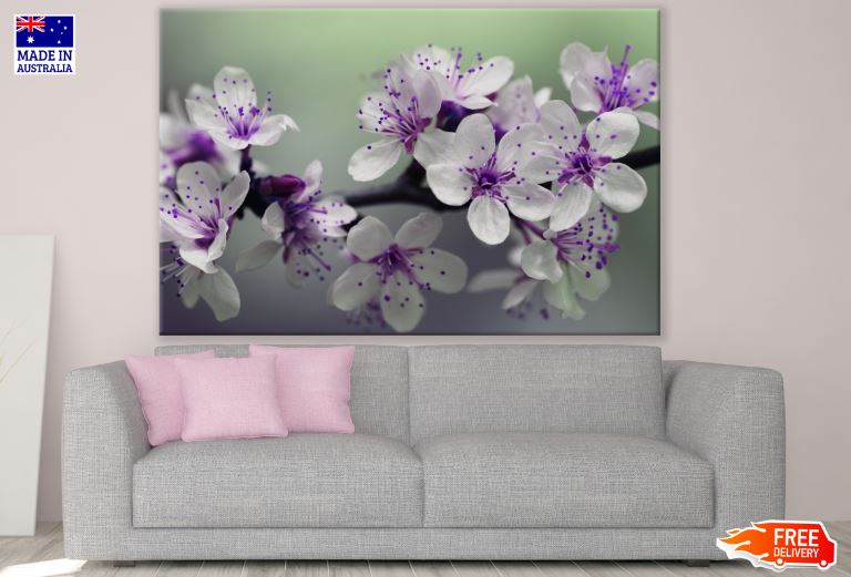 Blossom Flowers Macro Photograph Print 100% Australian Made