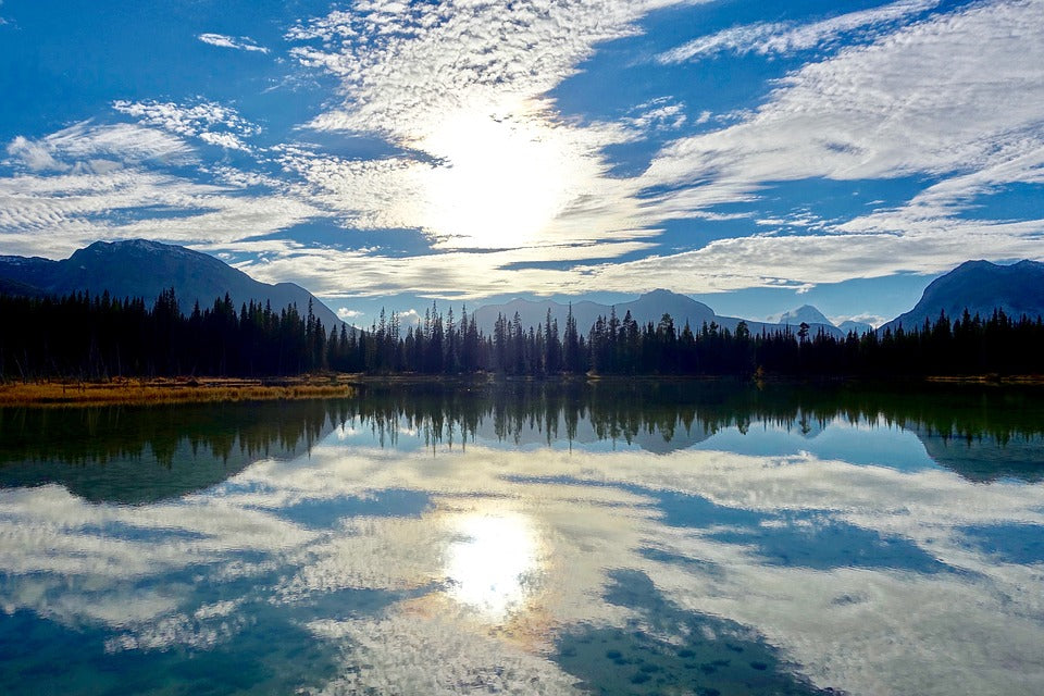 Lake & Forest Scenery Photograph Home Decor Premium Quality Poster Print Choose Your Sizes