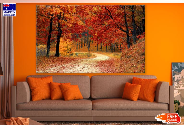 Autumn Forest Scenic View Photograph Print 100% Australian Made