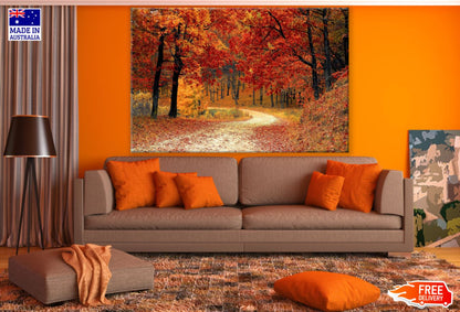 Autumn Forest Scenery Photograph Print 100% Australian Made