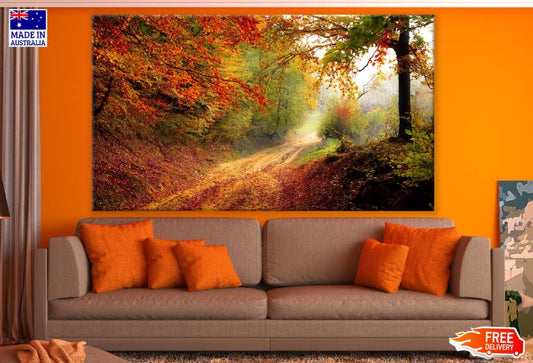 Autumn Forest Scenic View Photograph Print 100% Australian Made